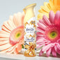 FEBREZE AIR MIST VANILLA AND MAGNOLIA 185ML.