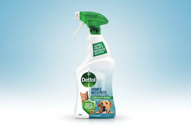 Dettol Spray Home with Pets 750ml