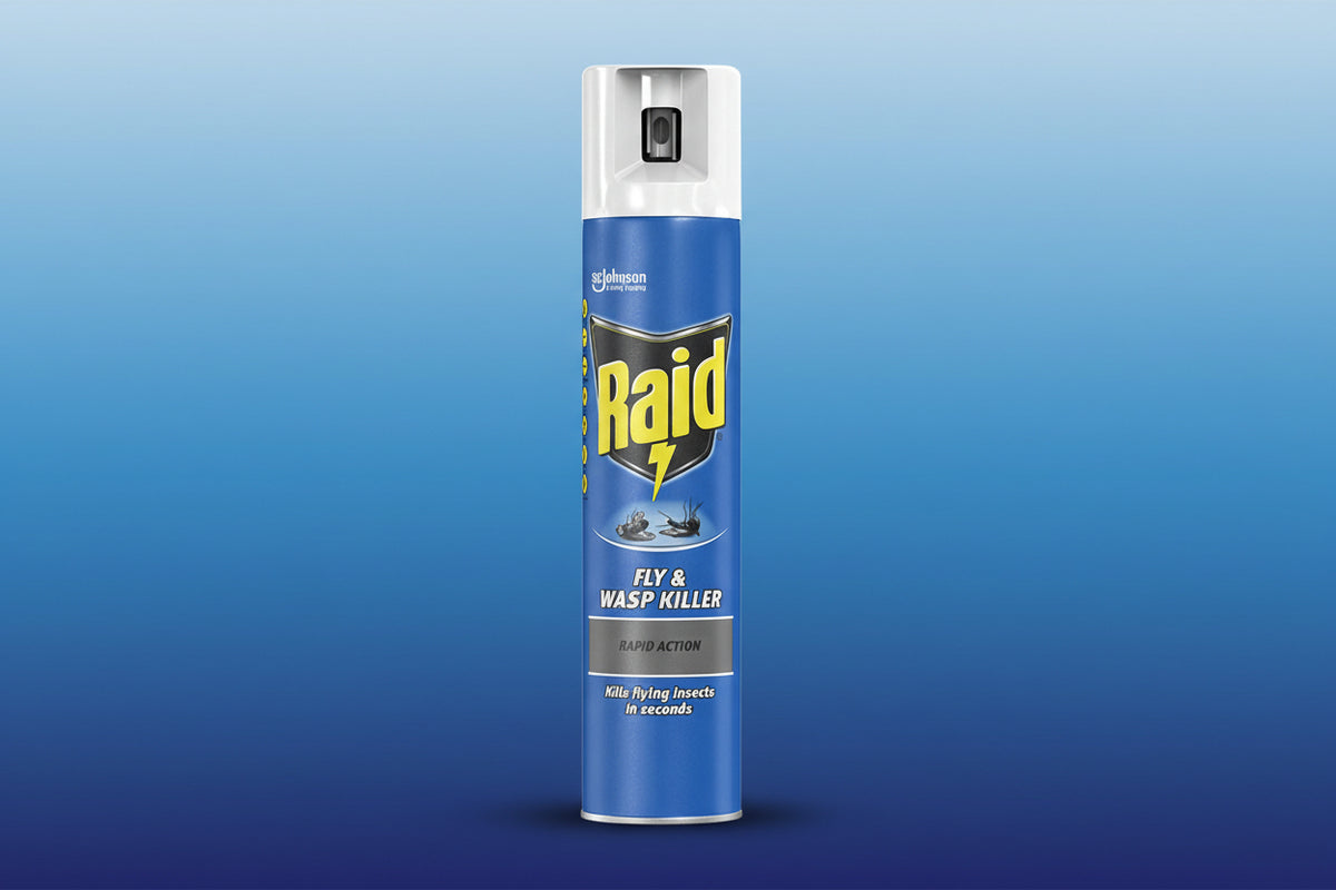 RAID FLY/WASP KILL SPRAY 300ML