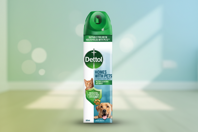 Dettol Air freshener Home With Pets 300ML