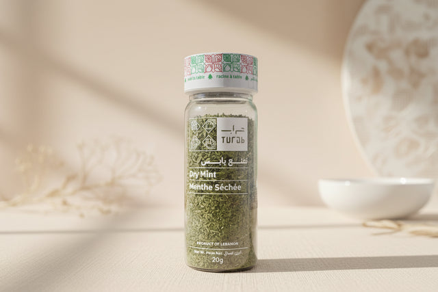 TURAB DRIED MINT           20G